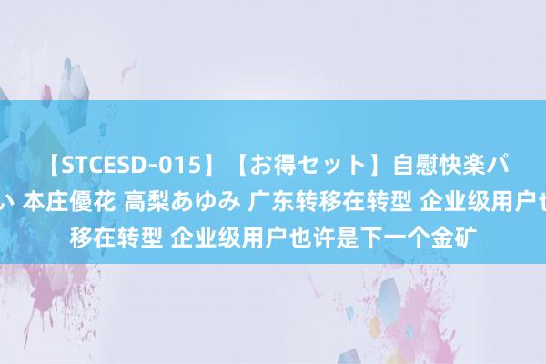 【STCESD-015】【お得セット】自慰快楽パラノイド 大場ゆい 本庄優花 高梨あゆみ 广东转移在转型 企业级用户也许是下一个金矿