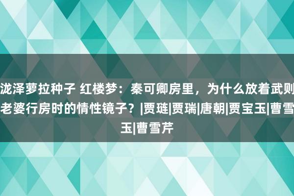 泷泽萝拉种子 红楼梦：秦可卿房里，为什么放着武则天老婆行房时的情性镜子？|贾琏|贾瑞|唐朝|贾宝玉|曹雪芹