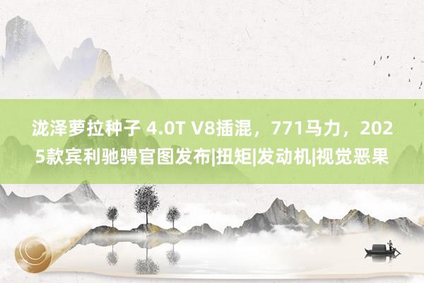 泷泽萝拉种子 4.0T V8插混，771马力，2025款宾利驰骋官图发布|扭矩|发动机|视觉恶果