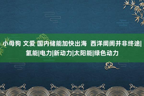 小母狗 文爱 国内储能加快出海  西洋阛阓并非终途|氢能|电力|新动力|太阳能|绿色动力