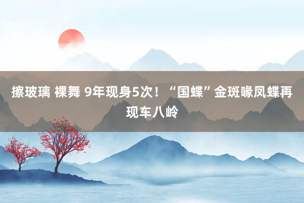 擦玻璃 裸舞 9年现身5次！“国蝶”金斑喙凤蝶再现车八岭