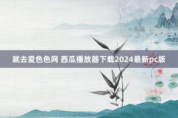 就去爱色色网 西瓜播放器下载2024最新pc版