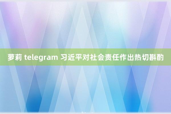 萝莉 telegram 习近平对社会责任作出热切斟酌