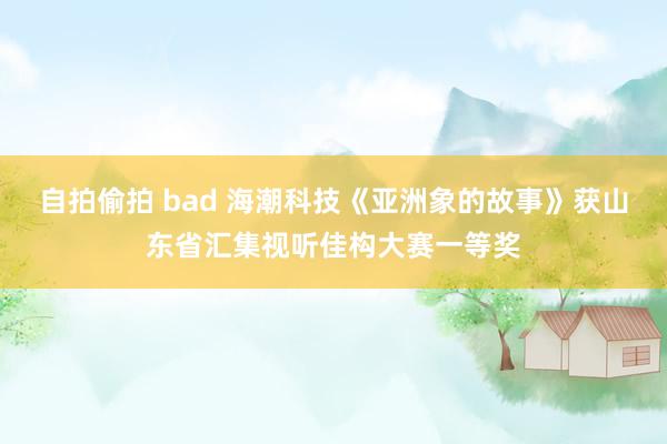 自拍偷拍 bad 海潮科技《亚洲象的故事》获山东省汇集视听佳构大赛一等奖