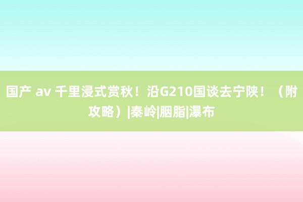 国产 av 千里浸式赏秋！沿G210国谈去宁陕！（附攻略）|秦岭|胭脂|瀑布