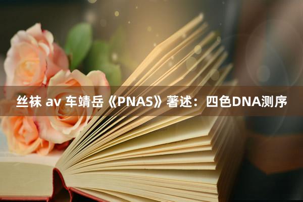 丝袜 av 车靖岳《PNAS》著述：四色DNA测序