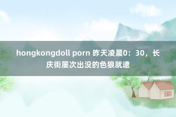 hongkongdoll porn 昨天凌晨0：30，长庆街屡次出没的色狼就逮