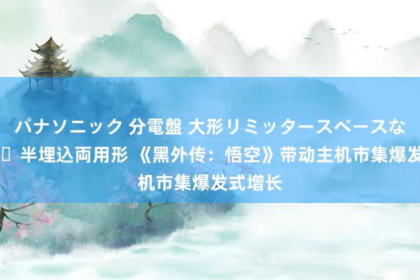 パナソニック 分電盤 大形リミッタースペースなし 露出・半埋込両用形 《黑外传：悟空》带动主机市集爆发式增长